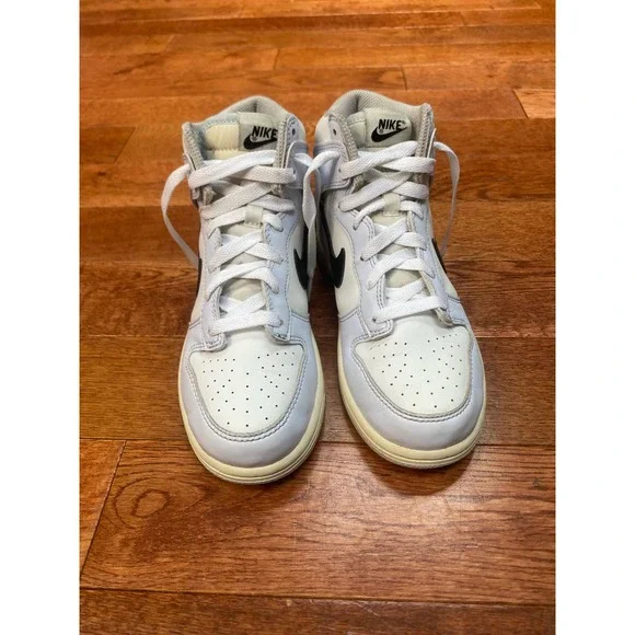 Nike Dunk High PA Aluminum, Size Y 2 1/2